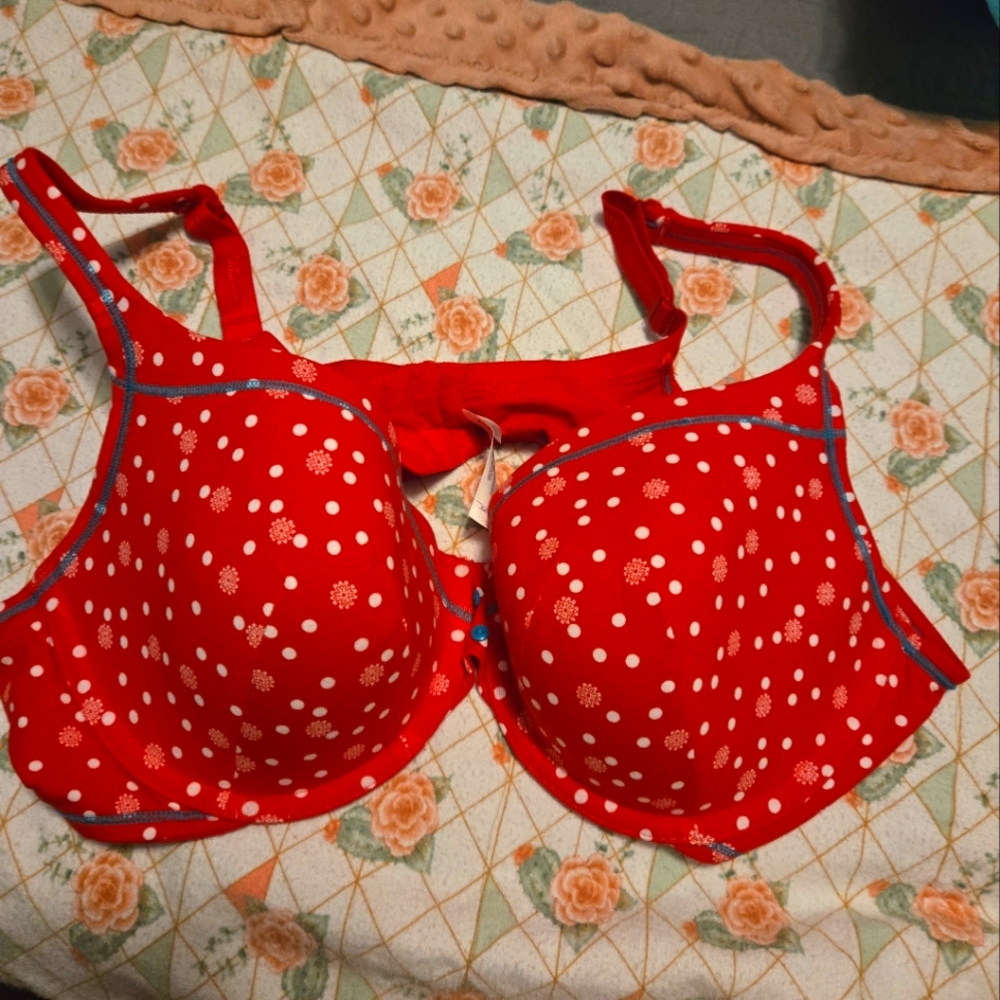 Red hearts Dot Women's Bra